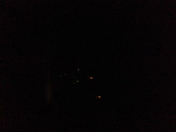 Bioluminescence Lab